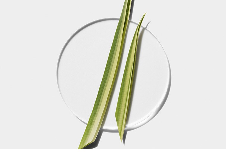 Comment ça fonctionne ?